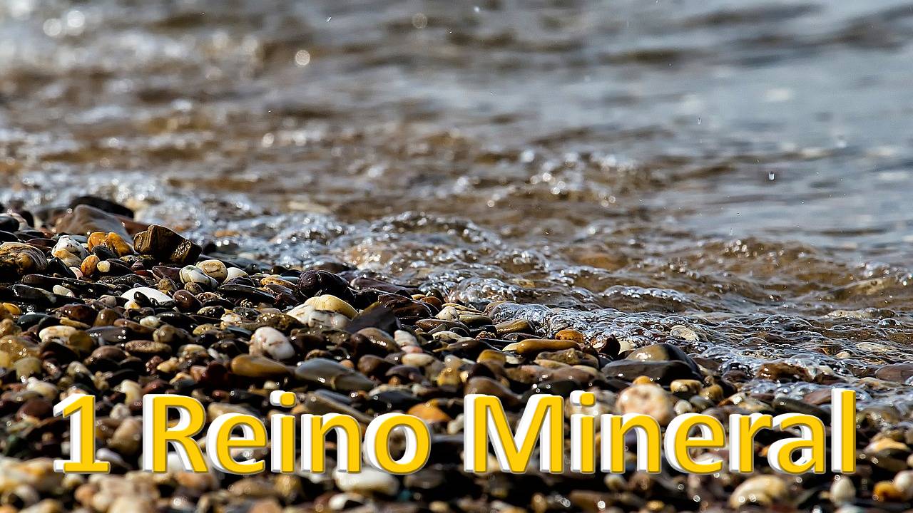 2 - Reino Mineral